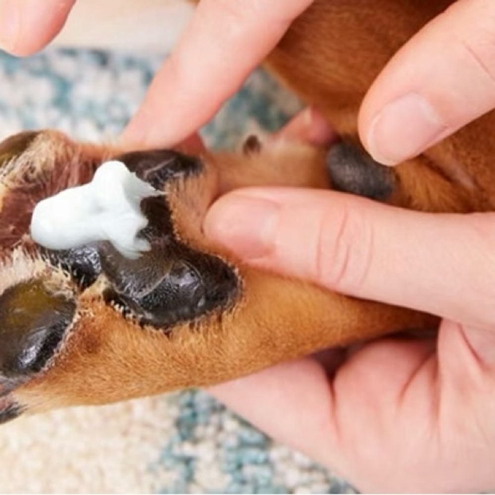 Protect 🐶 your dog’s 🐾 paws in the SUMMER HEAT 🥵 🛍️ paw 🐾 balm